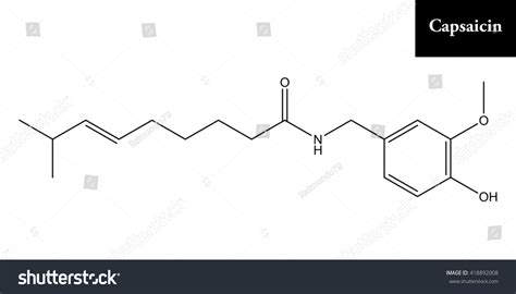 molecular structure capsaicin active component chili stock illustration