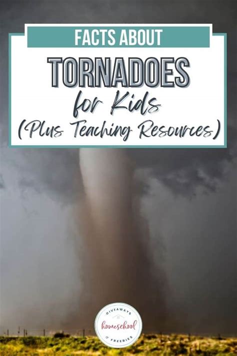 Facts About Tornadoes for Kids (Plus Teaching Resources)