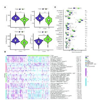 Cluster Based Analysis Of Tumor Immune Microenvironment A Comparison