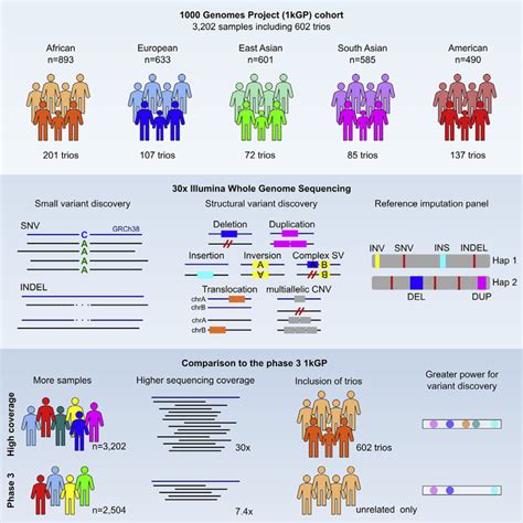 Researchers Expand And Upgrade The 1000 Genom EurekAlert