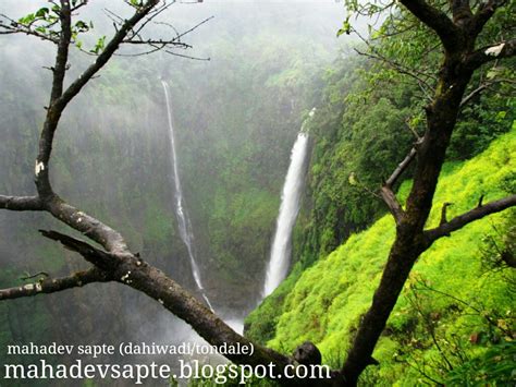 Kas Pathar Satara Kaas Plateau Valley Of Flowers Photos