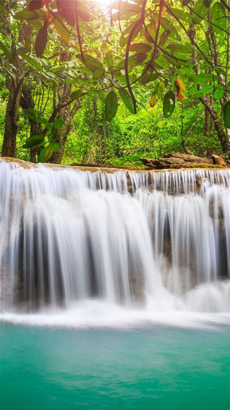 Waterfalls On Rock Pouring On River Surrounded By Green Trees Forest