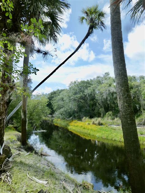 Myakka River History - Walkabout Florida: A Guide to Natural Lands in ...