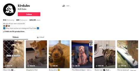 How To Become A Tiktok Influencer 7 Step Guide Skills Tips And More