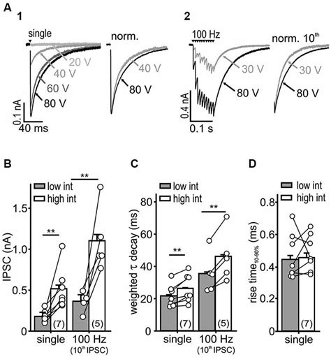 IPSC Kinetics Depends On Stimulus Intensity A Representative IPSC