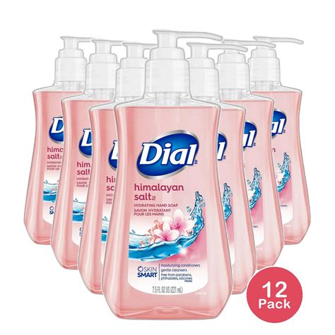 Dial Liquid Skin Therapy Hand Soap Himalayan Pink Salt 75oz Pack Of