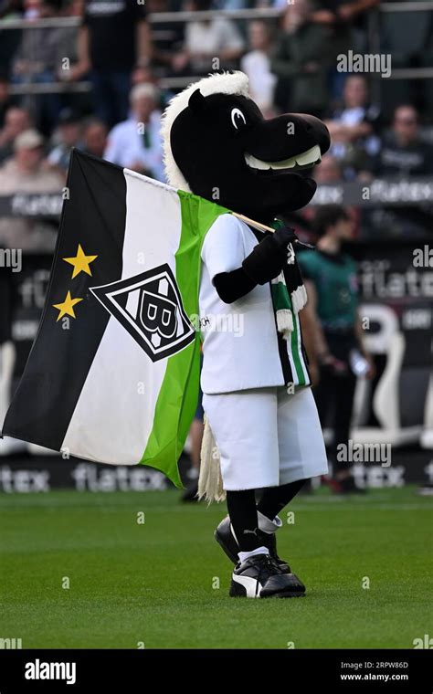 MONCHENGLADBACH - Borussia Mšnchengladbach mascot Junter during the ...