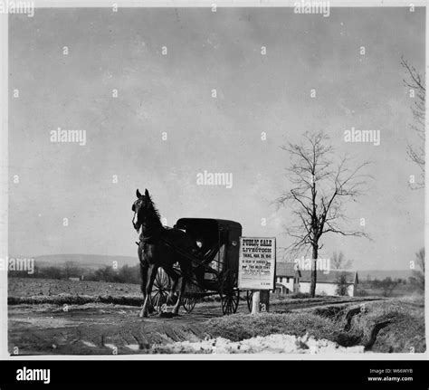 Lancaster County, Pennsylvania. This is an Old-Order Amish carriage ...