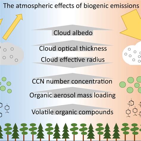 Temperature Dependent Effect Of Biogenic Secondary Organic Aerosol Download Scientific Diagram