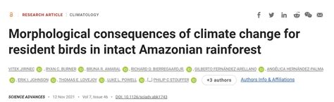 是福是禍？科學家發現：氣候變化導致了亞馬遜雨林的生物進化變形 每日頭條