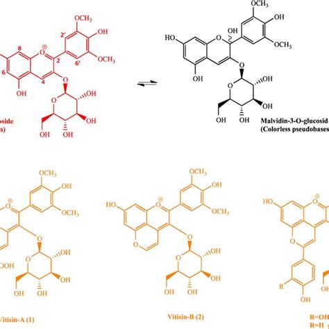 A Mv3gl Speciation At Typical Wine PH Range The Red Flavylium Ion