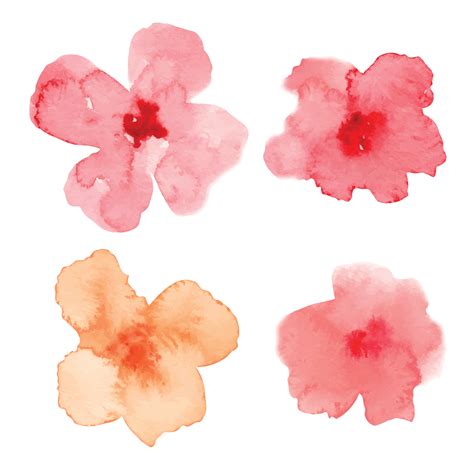 Watercolor Abstract Flowers Hand Painted Floral Illustration With