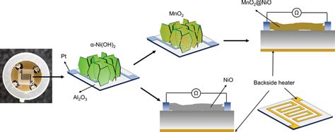 Schematic Of The In Situ Synthesis The Nio And Mno2nio Nanosheets On