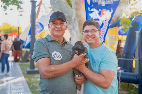 Desfile Mascotas Link Municipalidad Santa Luc A Flickr