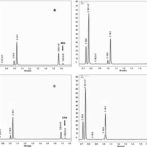 Desaturase Activities Of Ptet D D Gc Fid Chromatograms Of Fatty