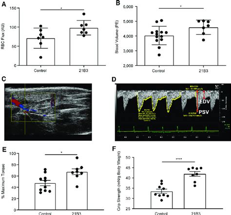 Muscle Perfusion And Contractile Function In Mdx Mice Treated With 21B3