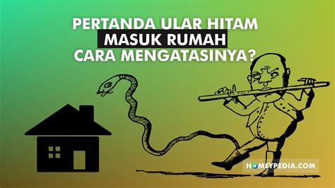 Pertanda Ular Hitam Masuk Rumah Dan Cara Mengatasinya