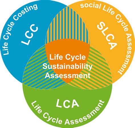 Life Cycle Sustainability Assessments