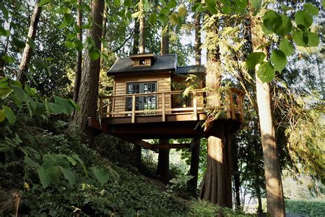 The Backyard Refuge — Wild Tree Woodworks - Custom Treehouse Builders