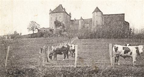 La Fruiti Re Des Coteaux De Seille La Fruiti Re Des Coteaux De Seille