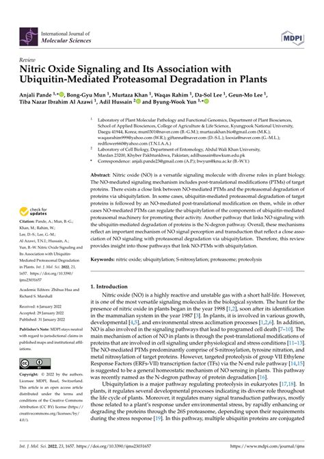 Pdf Nitric Oxide Signaling And Its Association With Ubiquitin