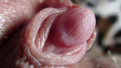 HD1080p Extreme Close Up On My Huge Clit Head Pulsating Phim Sex