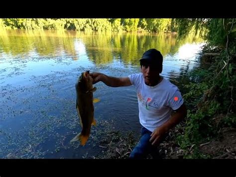 Pesca De Carpas Y Bagres En Rauquen Primer D A De Pesca Youtube