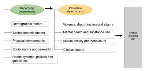 Syphilis In Canada Technical Report On Epidemiological Trends