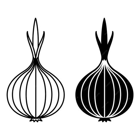 Premium Vector | Onion icons