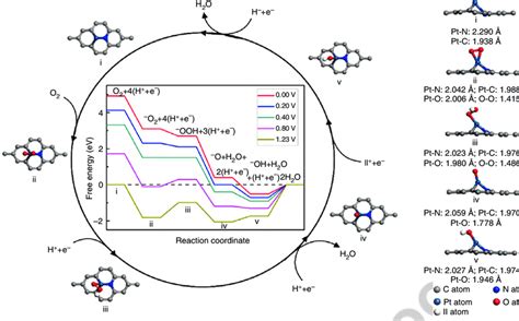 The Proposed Reaction Pathways For Complete Oxygen Reduction Reaction