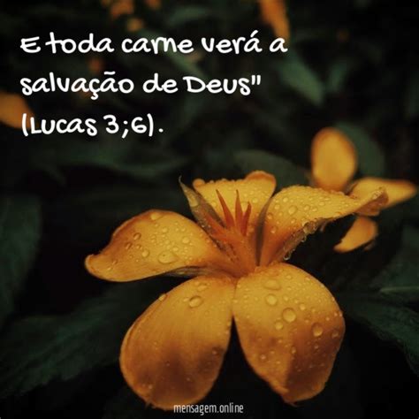 Frases B Blicas Louvor O Deus Que Fez O Mundo E Tudo Que Nele H