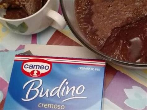 Ricetta Budino Cameo Cremoso Senza Glutine E Senza Latte Vaccino Dolcidee