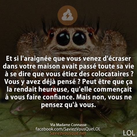 Et si laraignée que vous venez décraser dans votre maison avait passé