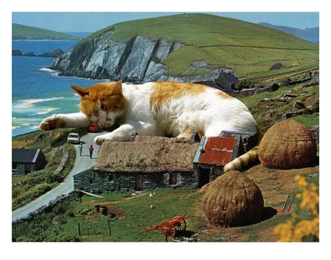 Ireland Cat Art Print Irish Dingle Cat Lover T Home Decor