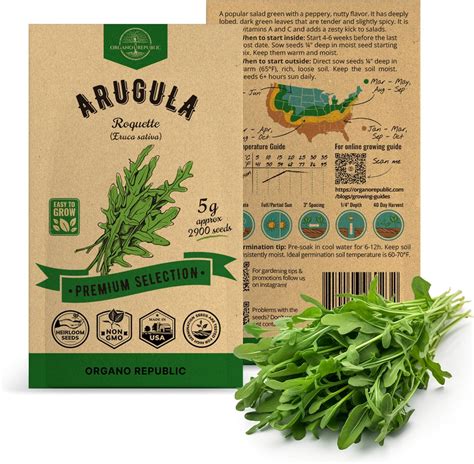 Arugula Roquette Seeds Pack 5g Over 2900 Non Gmo