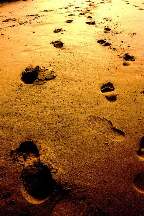 Traces Photograph by Romina Messina - Fine Art America 