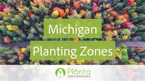 Michigan Planting Zone Planta Greenhouses Youtube