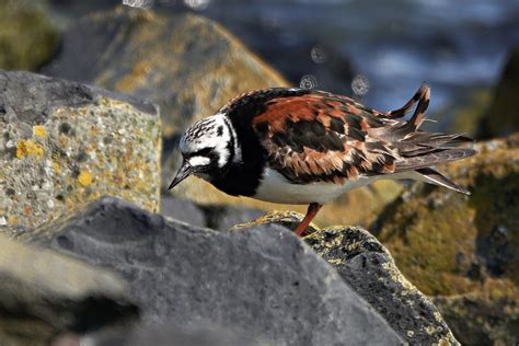 Oosterschelde Door Arjan Van Lomwel Goes Omroep Zeeland Flickr