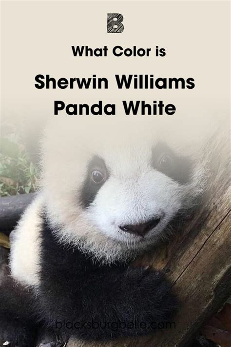 Sherwin Williams Panda White Sw Review And Inspiration