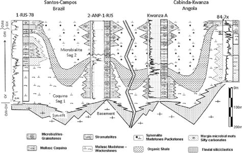 Schematic Cross Section Across The Campos And Santos Basins Of Brazil