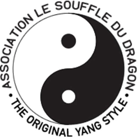 Association Le Souffle Du Dragon Helloasso