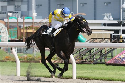 川崎競馬倶楽部ブログ 高月賢一調教師 1300勝達成！