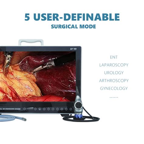 Factory Price Endoscopy Endoscope Hd K Camera System With Led Cold