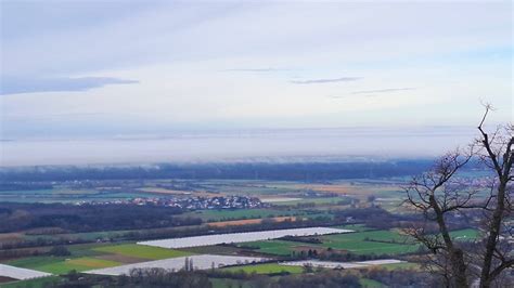 Nebel Im Rheintal Fotos Hikr Org