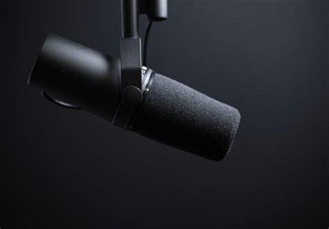 Best Dynamic Microphones: A Guide for Musicians - Better Songs