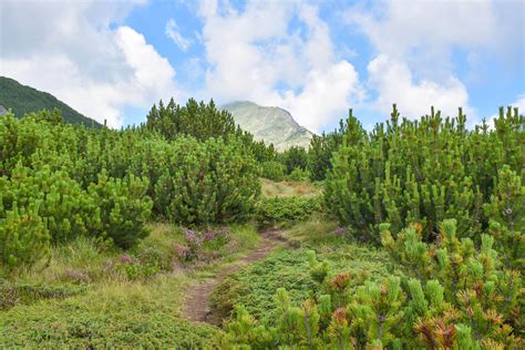 Le più belle passeggiate ed escursioni in Kostenets Outdooractive