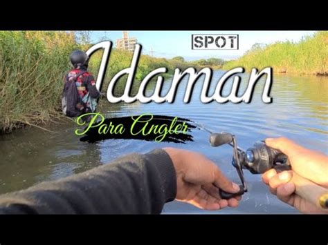 INI DIA Spot Ikan Gabus Paling Mantab Se TAIWAN YouTube