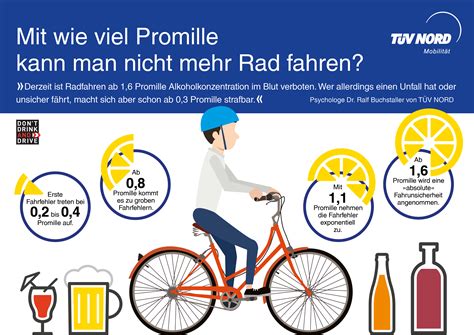 berühren Tragödie Etikette 8 bier promille Ausblenden Rand Farn