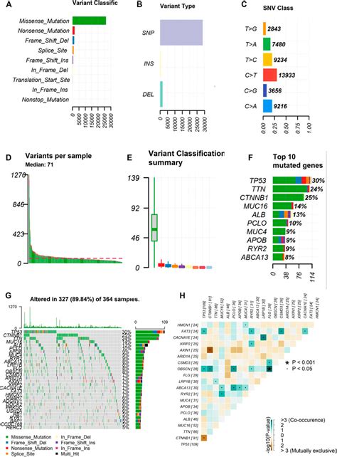 Frontiers Identification Of Tumor Mutation Burden And Immune