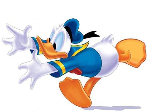 Daffy Duck Donald Duck High Res Hd Wallpaper Pxfuel